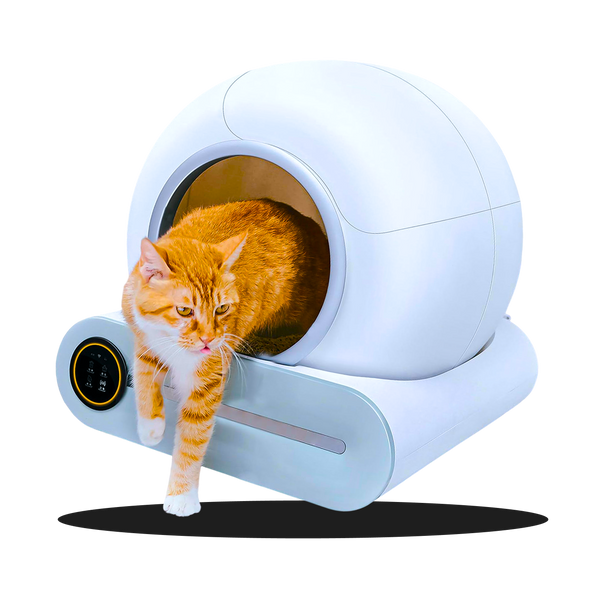 De Slimme, Automatische Kattenbak die Zichzelf Verschoont